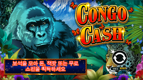그래비티 보난자