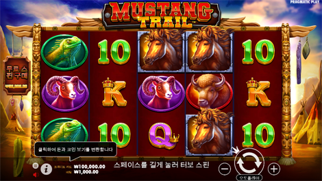 3 버징 와일즈